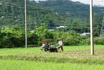 Nông dân Phước Sơn tích cực chuẩn bị sản xuất vụ Đông Xuân