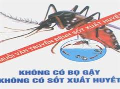 Tăng cường phòng chống dịch bệnh sốt xuất huyết