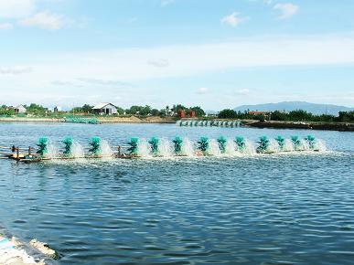 Quy hoạch hồ nuôi tôm sử dụng máy đập nước