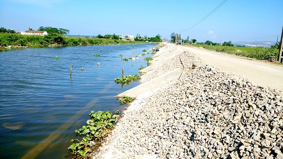 Thi công nâng cấp tuyến đê sông thượng, hạ lưu đập Thanh Quang, xã Phước Thắng