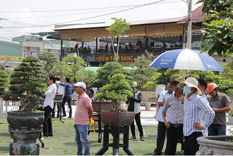 Đông đảo công chúng tham gia tại hội sinh vật cảnh