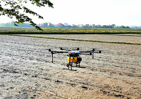 HTXNN Phước Hưng sử dụng thiết bị bay không người lái phun thuốc trừ cỏ lúa vụ Thu 2021