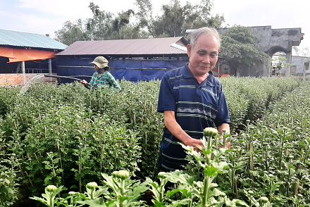 Ông Nguyễn Hạn sửa lại các chậu hoa mi ni bán cho khách hàng