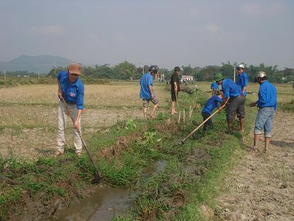 Đoàn viên, thanh niên thuộc Huyện đoàn, Huyện đội Tuy Phước và Công an tỉnh Bình Định đã ra quân nạo vét kênh mương nội đồng