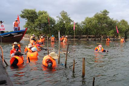 Tổ chức cưỡng chế tháo dỡ cọc, bao lưới nuôi trồng thủy sản trái phép trên đầm Thị Nại.