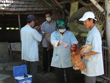 Tuy Phước: Tổ chức tổng kết công tác phòng, chống dịch bệnh động vật năm 2011 và triển khai kế hoạch phòng, chống dịch bệnh động vật năm 2012
