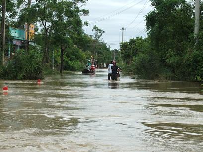 Tỉnh lộ 636 đoạn qua xã Phước Hoà bị ngập sâu