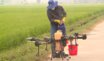 Thiết bị bay không người lái đang thực hiện phun thuốc bảo vệ thực vật tại cánh đồng xã Phước Quang