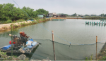 Hồ nuôi trồng thủy sản tại xã Phước Thuận