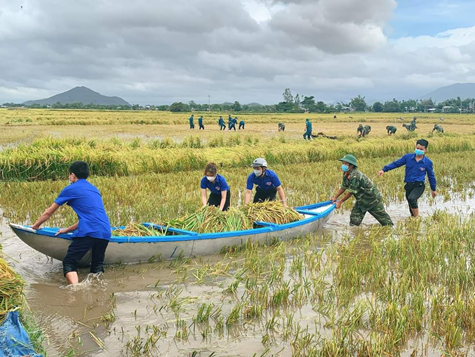 ĐVTN ra quân hỗ trợ thu hoạch lúa cho bà con Nhân dân