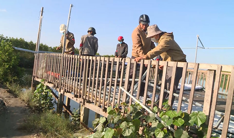 Tuy Phước: Tổ chức cưỡng chế thu hồi đất các hộ lấn chiếm đất trái phép xây nhà, quán tại Phước Hòa