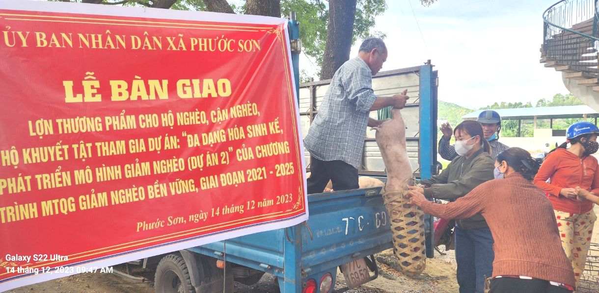 Đại diện Tổ cộng đồng xã Phước Sơn trao lợn thương phẩm cho các hộ tham gia dự án